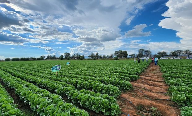 La empresa argentina de agro que apuesta a facturar US$ 50 millones en México con soluciones innovadoras para productores