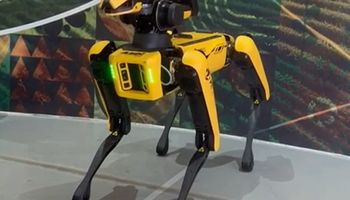 Robô-cachorro substitui ser humano em atividades perigosas na fazenda