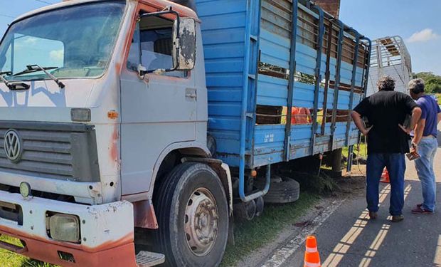 Le robaron un camión con ganado y lo encuentra abandonado en la ruta