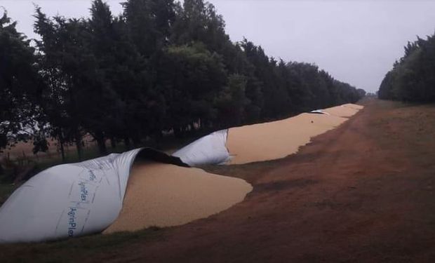 Robo en Santa Fe: le rompieron silo bolsas y cargaron dos camiones con soja