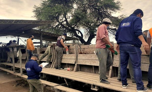 Allanamiento en el campo de Santiago del Estero. Foto: La Nación