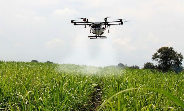 Robótica en el agro: lejos de una amenaza para el empleo, una oportunidad para el país