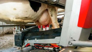 En 2019 se instalarán más de 60 robots en 12 tambos de Argentina