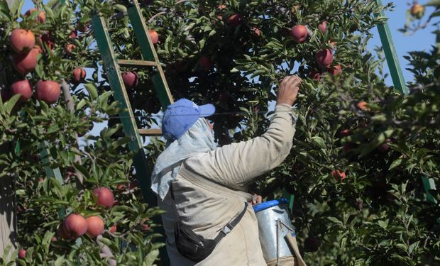 Las exportaciones de economías regionales cayeron un 16,3 %