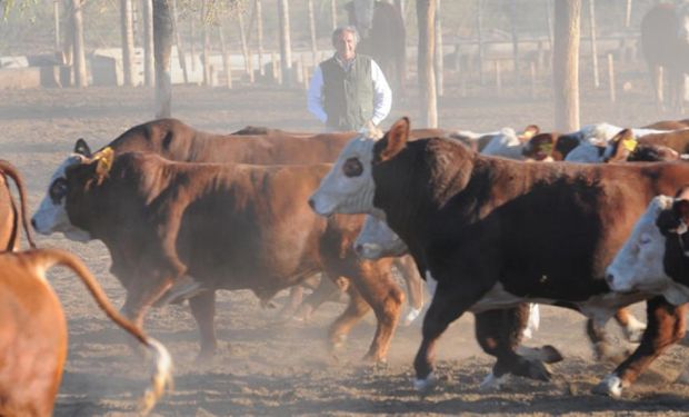 Nutrición y personal, los costos principales