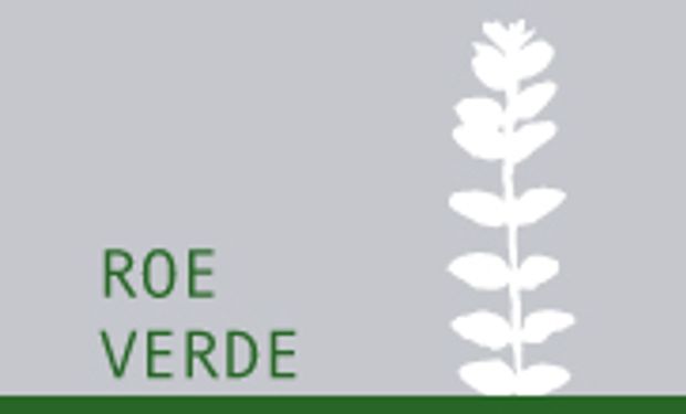 Roes de maíz por 359 mil toneladas