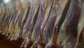 El Gobierno avanzó con la eliminación del "ROE Rojo"