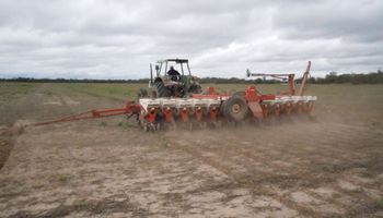 El rol del campo en la peor crisis económica de la historia de América Latina