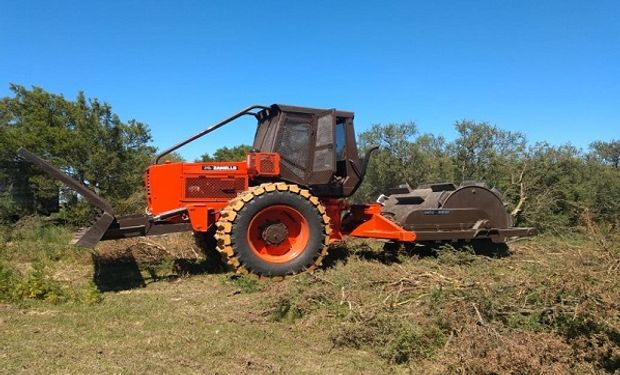 Desarrollan un rolo autopropulsado para realizar una ganadería sustentable en bosques nativos