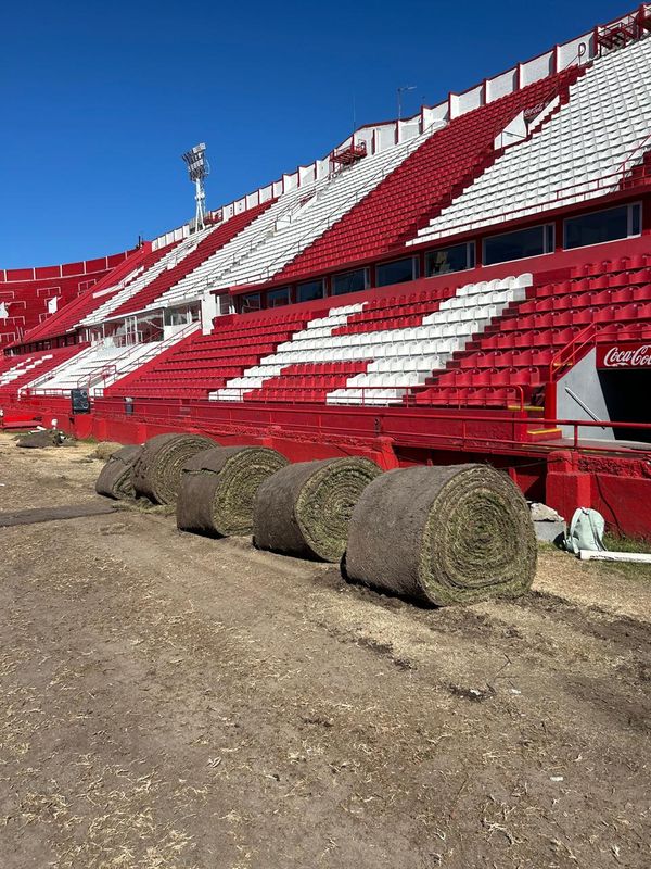 rollos de cesped en huracan