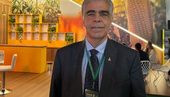 Produtores ficam surpreendidos com supersafra de milho