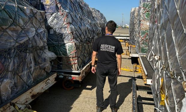 Dia dos Namorados: Viracopos recebe carga de 60 toneladas de rosas