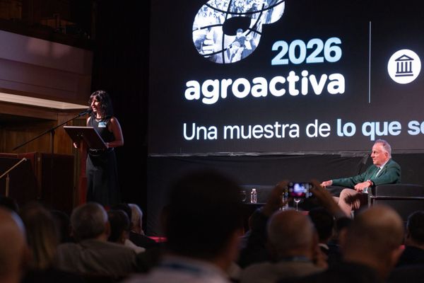 rosana nardi y daniel tillard