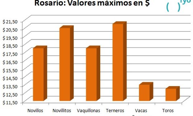 Mes de abril. Mercado de Rosario.