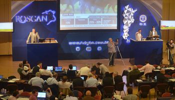 Rosgan puso a la venta 40 mil vacunos durante diciembre