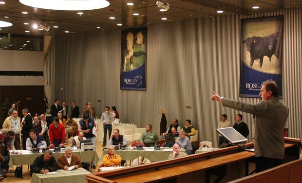 Rosgan: “Los precios de la invernada reflejan un buen momento del criador”