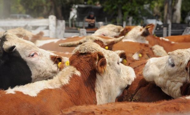 Previo a la subasta se hará un breve acto con directivos de la Bolsa de Comercio de Rosario y del mercado.