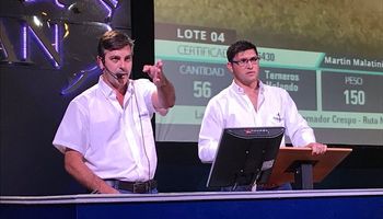Importante oferta en el último remate de Rosgan: conocé los precios por categoría