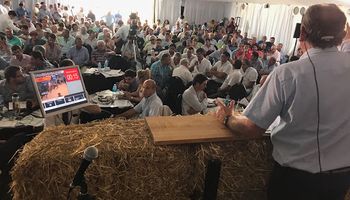 Rosgan llega esta semana a los 3 millones de cabezas ofertadas: habrá premios para vendedor y comprador  