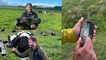 Maneja las vacas desde el celular: el argentino que lidera tambos de una empresa familiar australiana con más de 1.600 vacas y cuenta cómo es producir del otro lado del mundo
