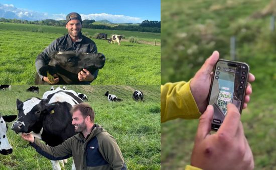 Martín Rostagno lleva seis años trabajando en sistemas lecheros de Nueva Zelanda, Tasmania, Estados Unidos y actualmente en Australia; qué podemos aprender sobre bienestar animal y sustentabilidad, y cómo nació su proyecto “Hola Tambo”, una ventana al campo global