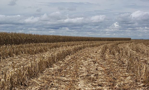 Buenos Aires impulsa rotación agrícola