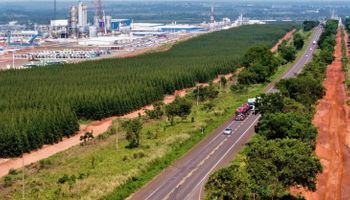 No papel: MS agenda leilão para Rota da Celulose