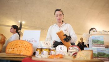 São Paulo cria oito Rotas do Queijo e reúne 102 produtores em 77 municípios