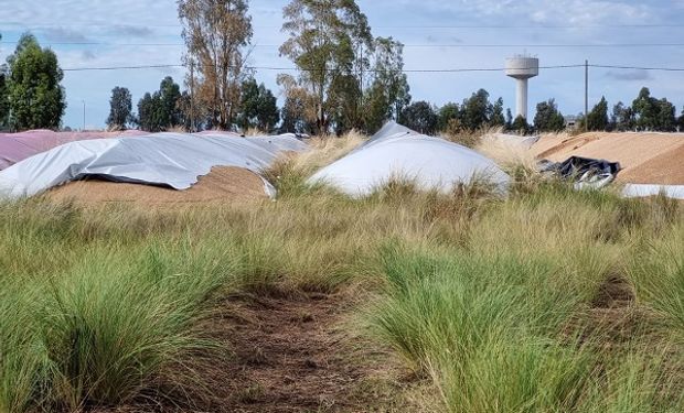 Reclaman respuestas frente a un hecho inédito de inseguridad rural