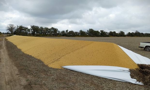 La indignación de un productor frente a la ola de vandalismo rural