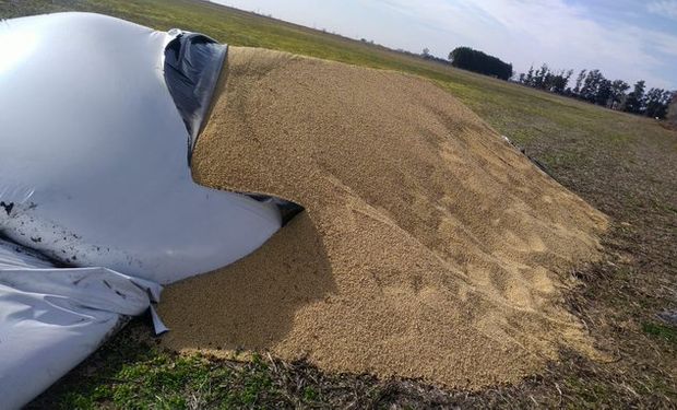 Rotura de silo bolsas: piden visibilizar con "urgencia"  los casi 30 hechos de violencia