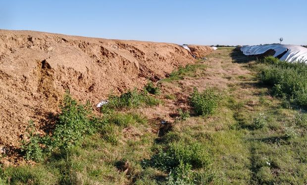 Perdió más de 2 millones de pesos: en Santa Fe, le arruinaron 500 metros de silo bolsas con alimento para animales