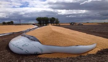 Entidades rurales se manifestaron contra una nueva rotura de silo bolsas