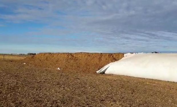 "Que dificil que es trabajar así": denuncian nuevos ataques al campo en Entre Ríos y Córdoba