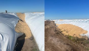 Rompieron cinco silobolsas con cebada e investigan si fue por el conflicto con transpotistas