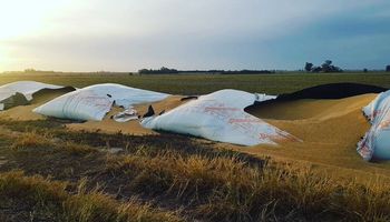 El "odio ideológico hacia el campo" detrás del creciente número de roturas de silo bolsas