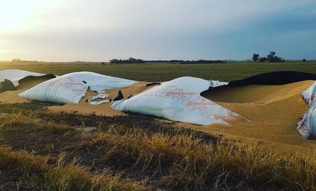 El "odio ideológico hacia el campo" detrás del creciente número de roturas de silo bolsas