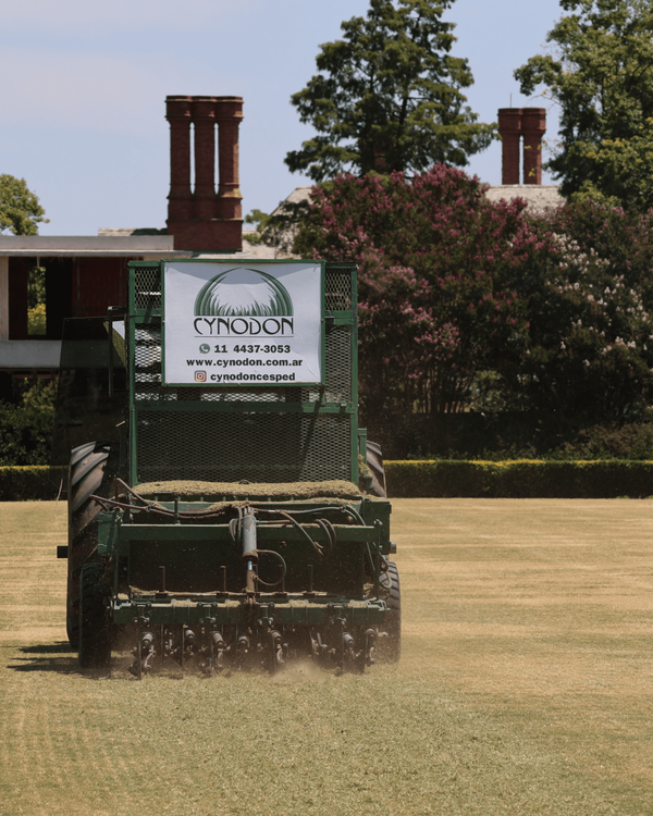 row planting