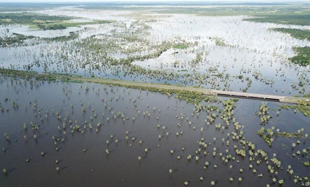 Bajos submeridionales: senadores aprobaron la creación de un comité para preservar los recursos naturales