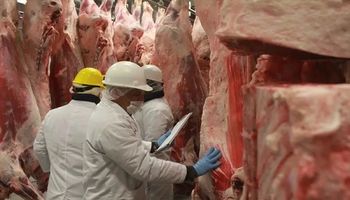 Carne Argentina: China representó más del 75% de los volúmenes exportados en agosto de 2023