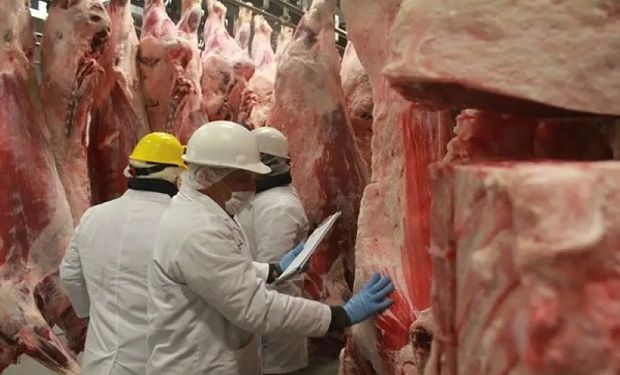 Carne Argentina: China representó más del 75% de los volúmenes exportados en agosto de 2023