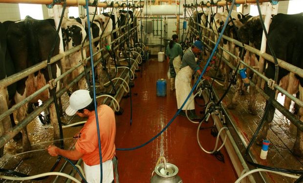 Destacan un aumento en la producción de leche, pero lo productores reclaman por la rentabilidad