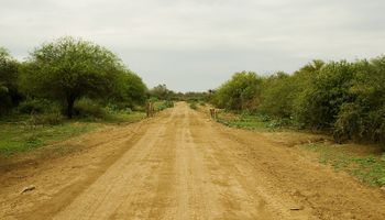 Un estudio inédito del INTA será clave para la conservación de caminos rurales