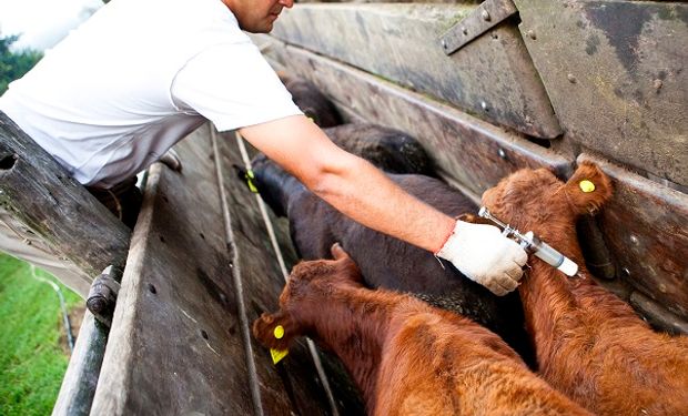 Prorrogan la recertificación de establecimientos libres de enfermedades bovinas, porcina y ovinas