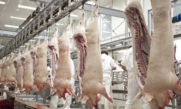 Basterra confirmó que ya se trabaja en la exportación de subproductos porcinos a China