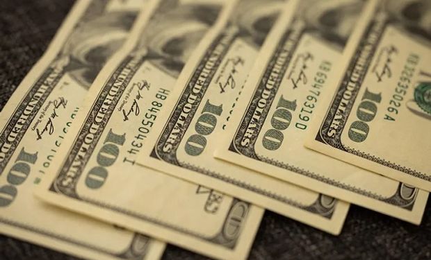 Dólar blue hoy: a cuánto cotiza este martes 15 de noviembre y cuánto vendió el Banco Central para evitar una suba