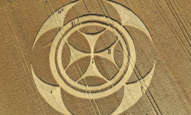 Misterio por la repentina aparición de un círculo perfecto en un campo de Francia: qué dice el productor que lo descubrió