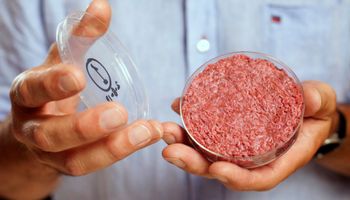 Carne de laboratório avança e abre nova era da produção de alimentos