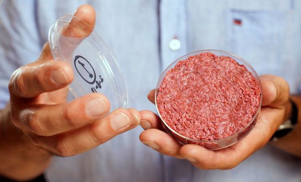 Carne de laboratório avança e abre nova era da produção de alimentos