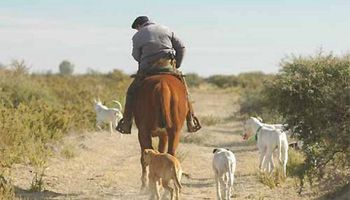 Incremento salarial para privados: cuál es la situación de los trabajadores rurales